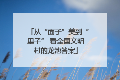 从“面子”美到“里子” 看全国文明村的龙池答案