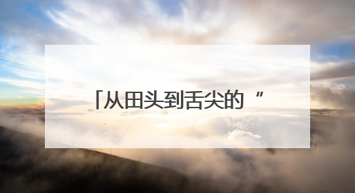 从田头到舌尖的“共富”快车：沪湖供销联手，湖州生态农产“圈粉”大上海