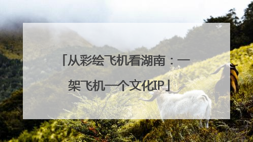 从彩绘飞机看湖南：一架飞机一个文化IP