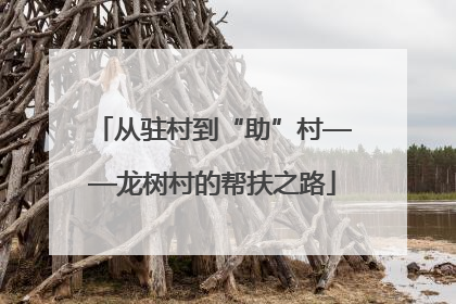 从驻村到“助”村——龙树村的帮扶之路
