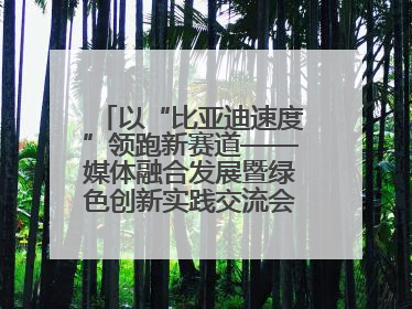 以“比亚迪速度”领跑新赛道——媒体融合发展暨绿色创新实践交流会首站走进比亚迪