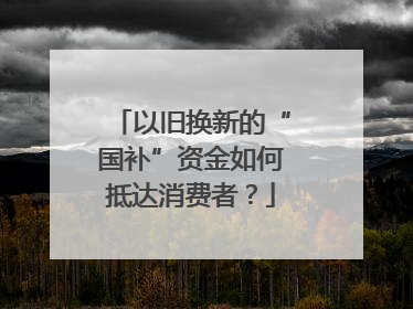 以旧换新的“国补”资金如何抵达消费者？