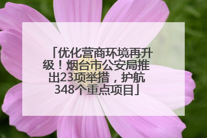 优化营商环境再升级！烟台市公安局推出23项举措，护航348个重点项目