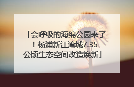 会呼吸的海绵公园来了！杨浦新江湾城7.35公顷生态空间改造焕新