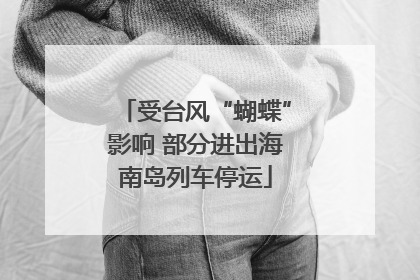 受台风“蝴蝶”影响 部分进出海南岛列车停运