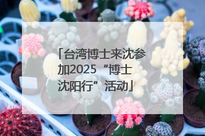 台湾博士来沈参加2025“博士沈阳行”活动