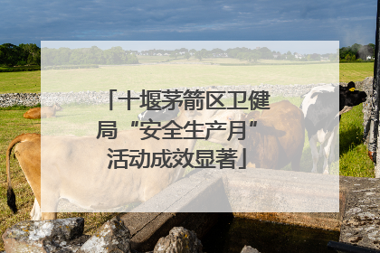 十堰茅箭区卫健局“安全生产月”活动成效显著