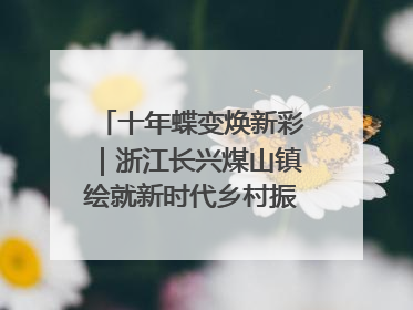 十年蝶变焕新彩｜浙江长兴煤山镇绘就新时代乡村振兴多彩画卷