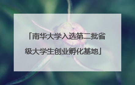 南华大学入选第二批省级大学生创业孵化基地