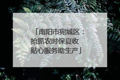 南阳市宛城区：抢抓农时保夏收 贴心服务助生产