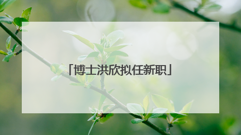 博士洪欣拟任新职