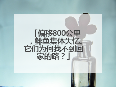 偏移800公里，鲱鱼集体失忆。它们为何找不到回家的路？