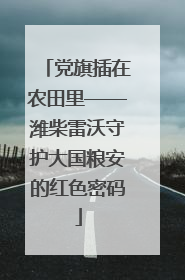 党旗插在农田里——潍柴雷沃守护大国粮安的红色密码