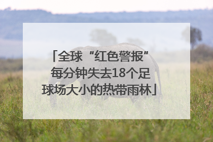 全球“红色警报”  每分钟失去18个足球场大小的热带雨林