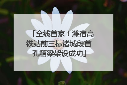 全线首家！潍宿高铁站前三标诸城段首孔箱梁架设成功