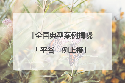 全国典型案例揭晓！平谷一例上榜