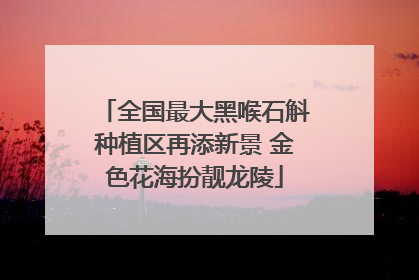 全国最大黑喉石斛种植区再添新景 金色花海扮靓龙陵