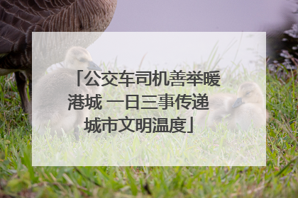 公交车司机善举暖港城 一日三事传递城市文明温度