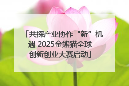 共探产业协作“新”机遇 2025金熊猫全球创新创业大赛启动