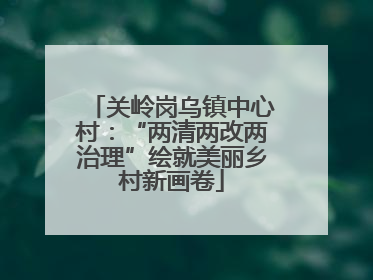 关岭岗乌镇中心村：“两清两改两治理”绘就美丽乡村新画卷