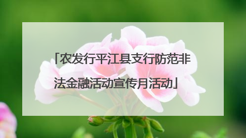 农发行平江县支行防范非法金融活动宣传月活动