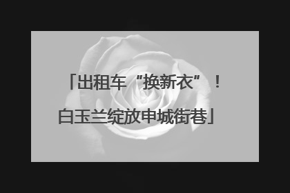 出租车“换新衣”！白玉兰绽放申城街巷
