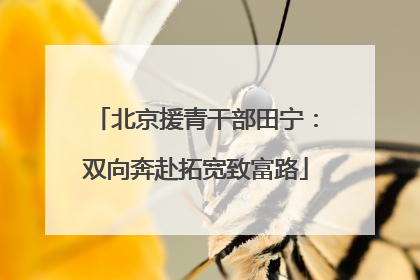 北京援青干部田宁：双向奔赴拓宽致富路