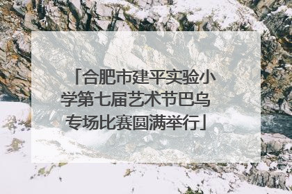 合肥市建平实验小学第七届艺术节巴乌专场比赛圆满举行