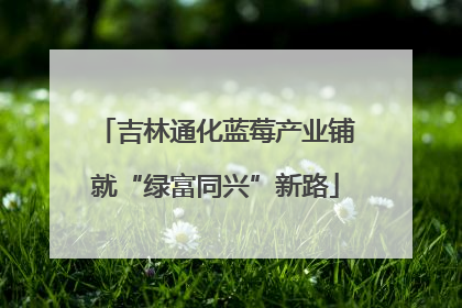 吉林通化蓝莓产业铺就“绿富同兴”新路