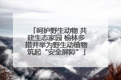 呵护野生动物 共建生态家园 榆林多措并举为野生动植物筑起“安全屏障”