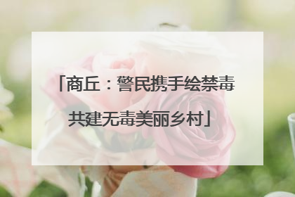 商丘：警民携手绘禁毒 共建无毒美丽乡村