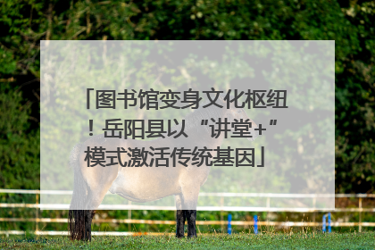 图书馆变身文化枢纽！岳阳县以“讲堂+”模式激活传统基因