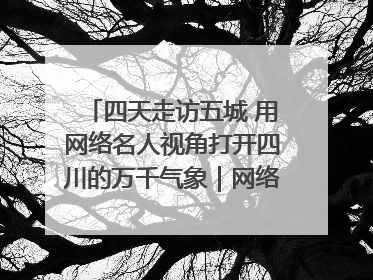 四天走访五城 用网络名人视角打开四川的万千气象｜网络名人四川行