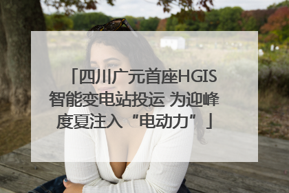 四川广元首座HGIS智能变电站投运 为迎峰度夏注入“电动力”
