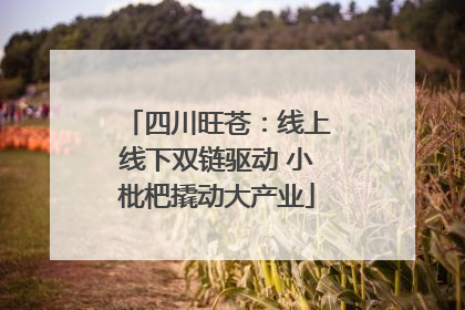 四川旺苍：线上线下双链驱动 小枇杷撬动大产业