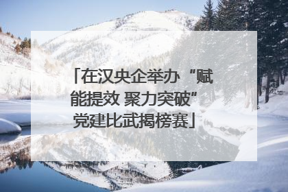 在汉央企举办“赋能提效 聚力突破”党建比武揭榜赛
