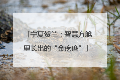 宁夏贺兰：智慧方舱里长出的“金疙瘩”