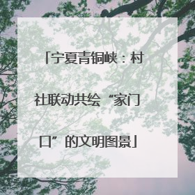 宁夏青铜峡：村社联动共绘“家门口”的文明图景