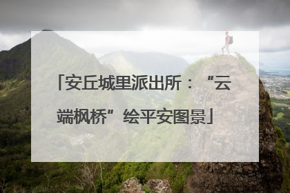 安丘城里派出所：“云端枫桥”绘平安图景