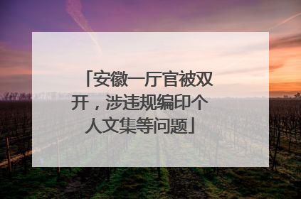 安徽一厅官被双开，涉违规编印个人文集等问题