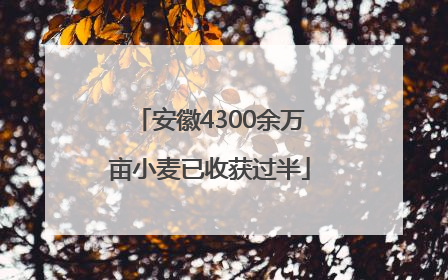 安徽4300余万亩小麦已收获过半