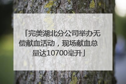 完美湖北分公司举办无偿献血活动，现场献血总量达10700毫升