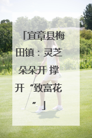 宜章县梅田镇：灵芝朵朵开 撑开“致富花”