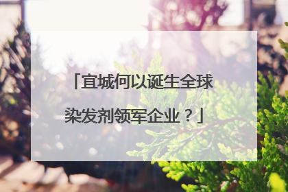 宜城何以诞生全球染发剂领军企业？