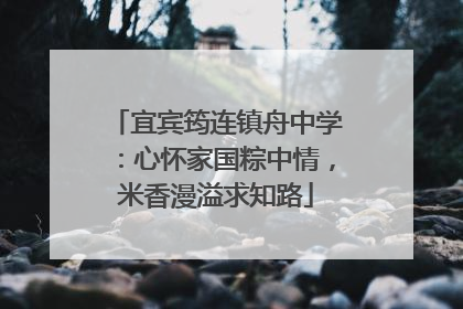 宜宾筠连镇舟中学：心怀家国粽中情，米香漫溢求知路