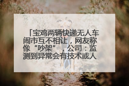 宝鸡两辆快递无人车闹市互不相让，网友称像“吵架”，公司：监测到异常会有技术或人为干预处置