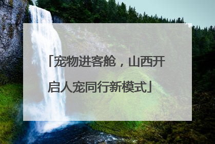 宠物进客舱，山西开启人宠同行新模式
