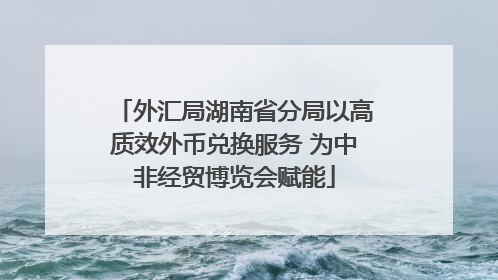 外汇局湖南省分局以高质效外币兑换服务 为中非经贸博览会赋能