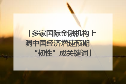多家国际金融机构上调中国经济增速预期 “韧性”成关键词