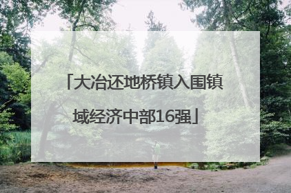 大冶还地桥镇入围镇域经济中部16强